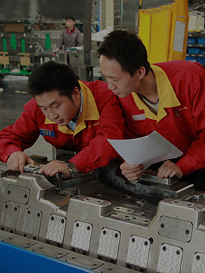 Inspecci&oacute;n f&iacute;sica